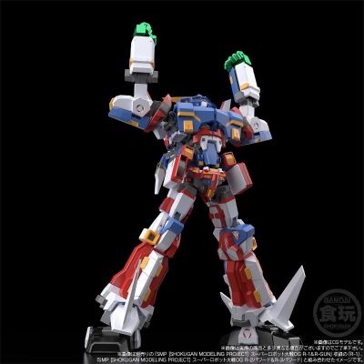 SMP [SHOKUGAN MODELING PROJECT] 超级机器人大战OG SRX 天下无敌的配件套装