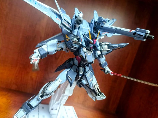 METAL BUILD 机动战士高达SEED MSV I.W.S.P.