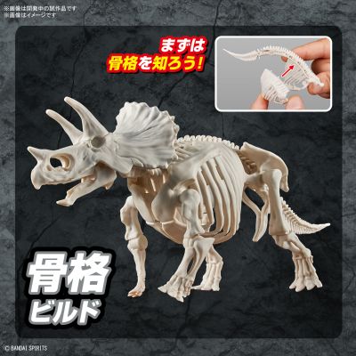 恐龙拼装模型 三角龙