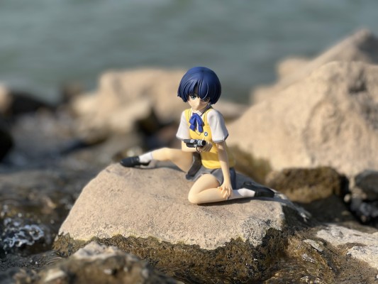 在盛夏等待