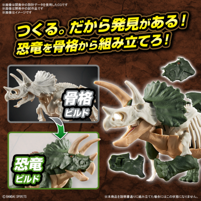 恐龙拼装模型 三角龙