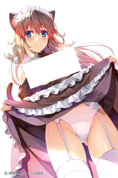 猫柳桃 2.0版