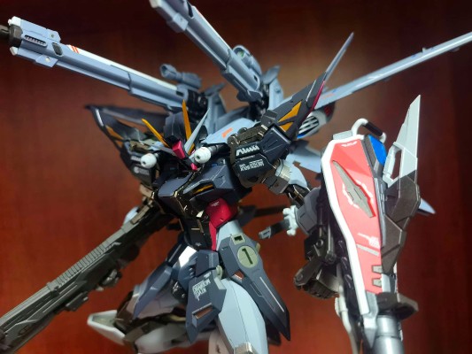 METAL BUILD 机动战士高达SEED MSV I.W.S.P.