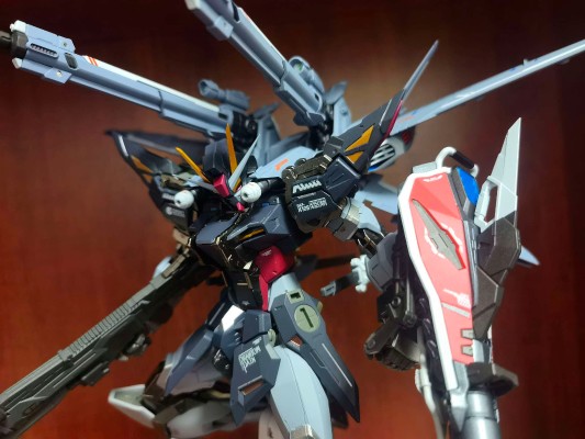 METAL BUILD 机动战士高达SEED MSV I.W.S.P.