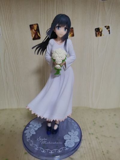 Coreful  青春猪头少年不会梦到怀梦美少女 牧之原翔子