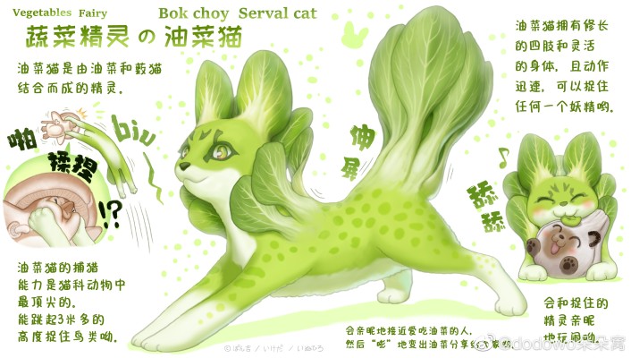 蔬菜精灵 油菜猫