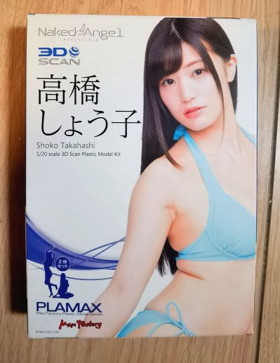PLAMAX Naked Angel: 高桥圣子