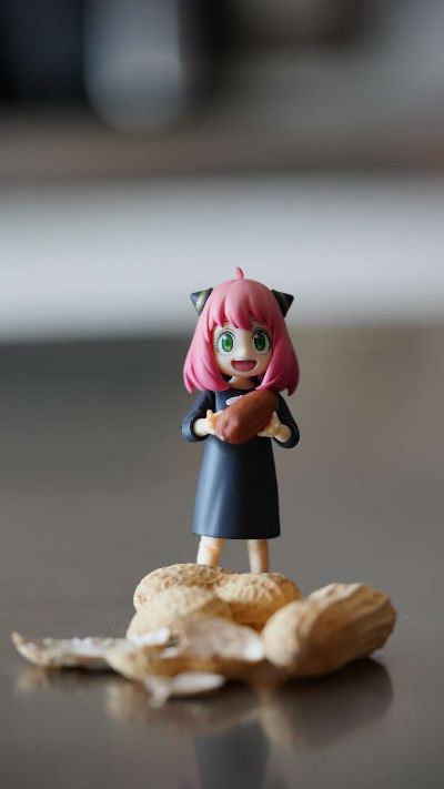 S.H.Figuarts  阿尼亚·福杰 -校服版本-