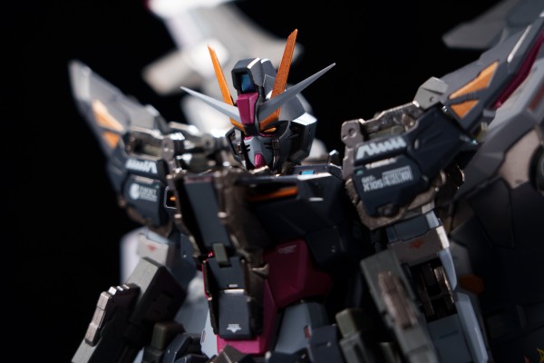 METAL BUILD 机动战士高达SEED MSV I.W.S.P.