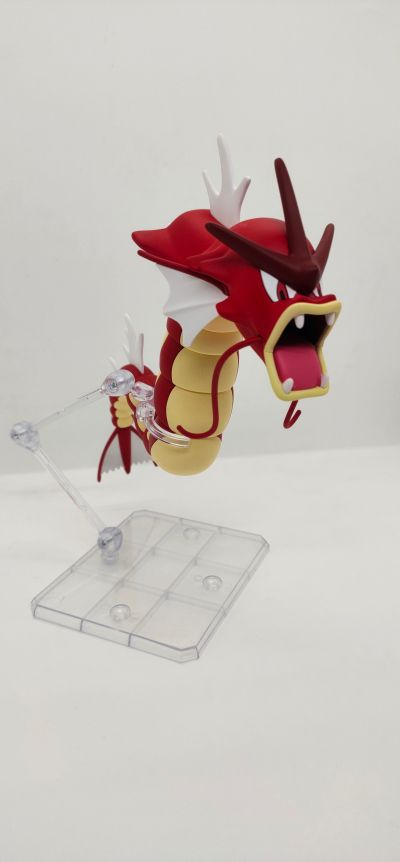 宝可梦拼装模型收藏 52 特选系列  暴鲤龙