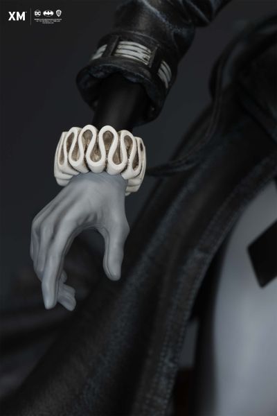 蝙蝠侠：白骑士 哈莉·奎恩 潜入版