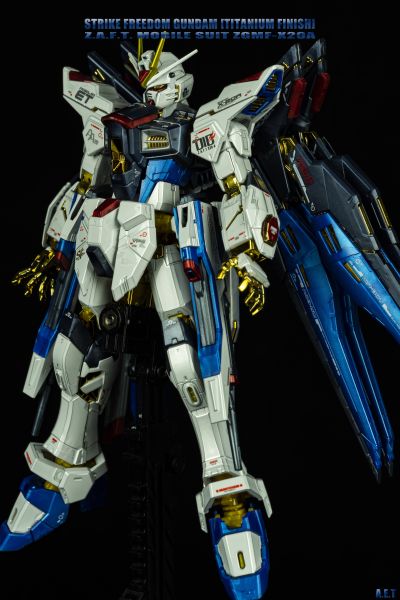 RG 机动战士高达SEED DESTINY ZGMF-X20A 强袭自由高达 ［钛金质感］