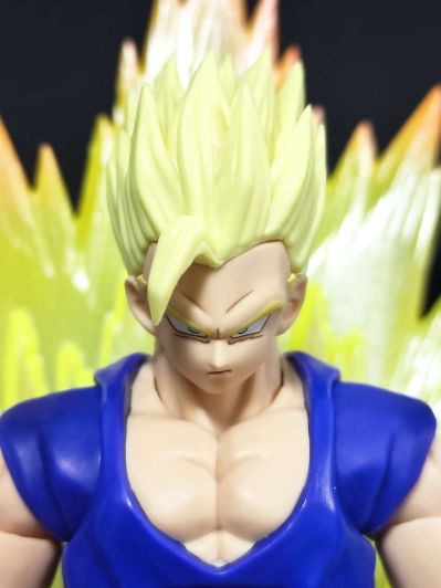 S.H.Figuarts   伽马1号