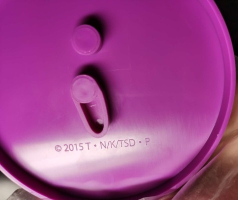 Dwell 新妹魔王的契约者 成濑万理亚