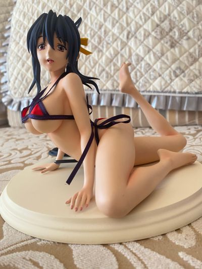 恶魔高中D×D 姫岛朱乃 泳装