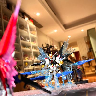 机动战士高达 重装×重奏  命运与自由 光之翼套装