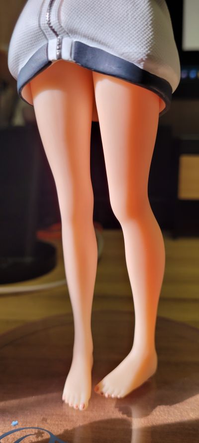 PCS Re：从零开始的异世界生活 蕾姆~菜月昴的外套~TAITO限定