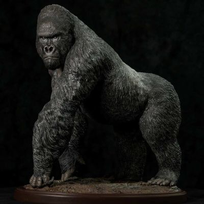 博物系列 山地大猩猩