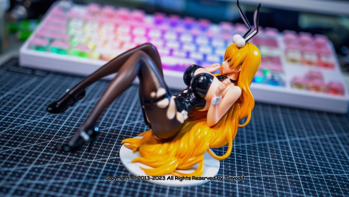 B-Style 碧蓝航线 北卡罗来纳 兔女郎