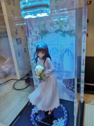 Coreful  青春猪头少年不会梦到怀梦美少女 牧之原翔子