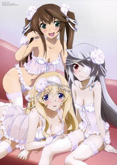 DreamTech IS〈Infinite Stratos〉 凰铃音 