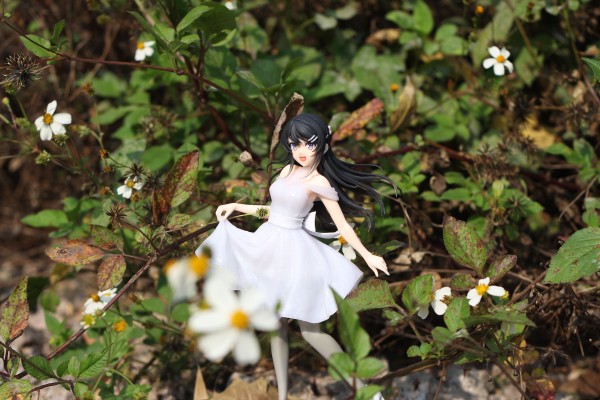 Coreful Figure 青春猪头少年不会梦到兔女郎学姐 樱岛麻衣 ~水晶礼服~ 中国限定