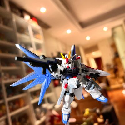 机动战士高达 重装×重奏 EX  自由高达 GCP版
