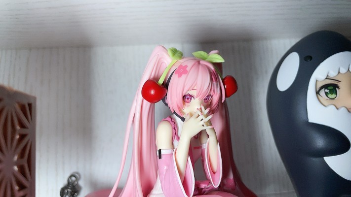压泡面 初音未来系列 樱花未来2023