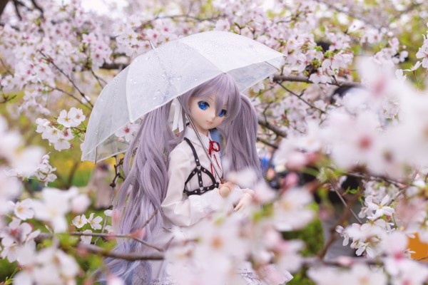 Dollfie Dream DD VOCALOID 樱未来