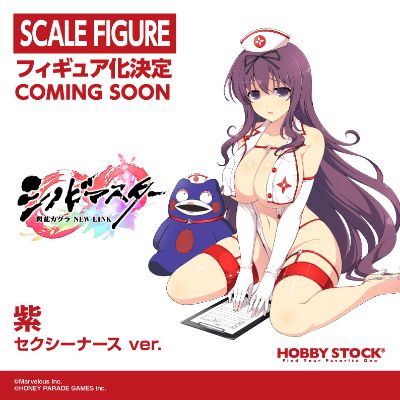 忍者大师 闪乱神乐 NEW LINK 紫 性感护士