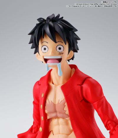 S.H.Figuarts 山智 -讨伐鬼之岛-
