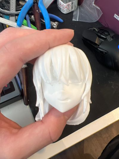 宇崎学妹想要玩 宇崎花 荷尔斯泰因泳装