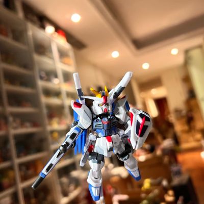 机动战士高达 重装×重奏 EX  自由高达 GCP版