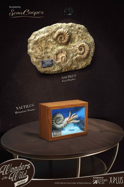 史前动物系列 鹦鹉螺