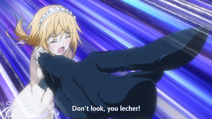 IS〈无限斯特拉托斯〉 夏洛特・迪诺亚 原作版・梦中女仆