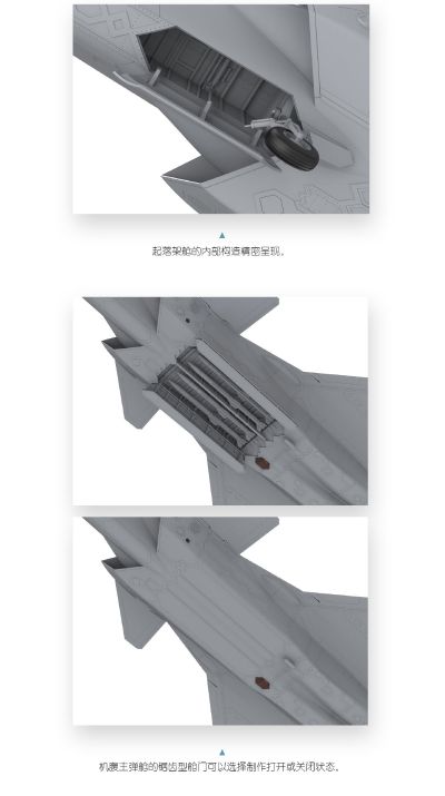 LS-002 歼-20“威龙”隐形战斗机