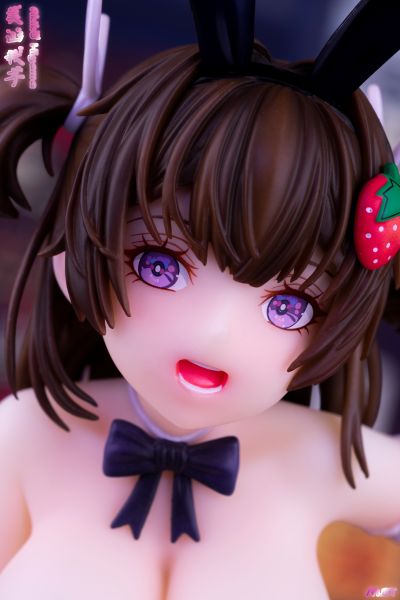 美山秋子 兔女郎 DX