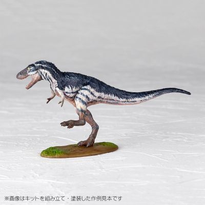 ARTPLA 研究员和霸王龙套装