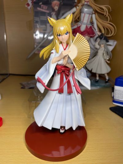 我が家のお稲荷さま。 天狐空幻