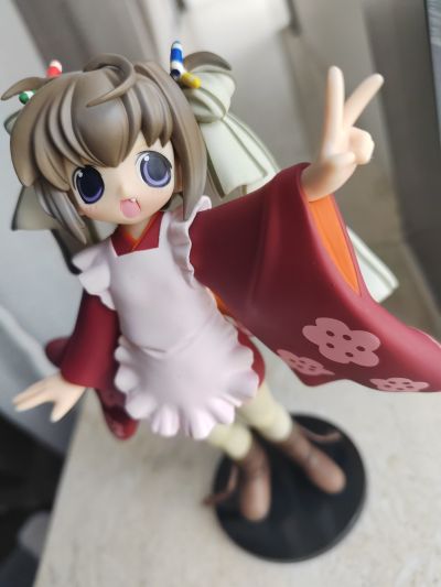 本気求道 たまちゃん 