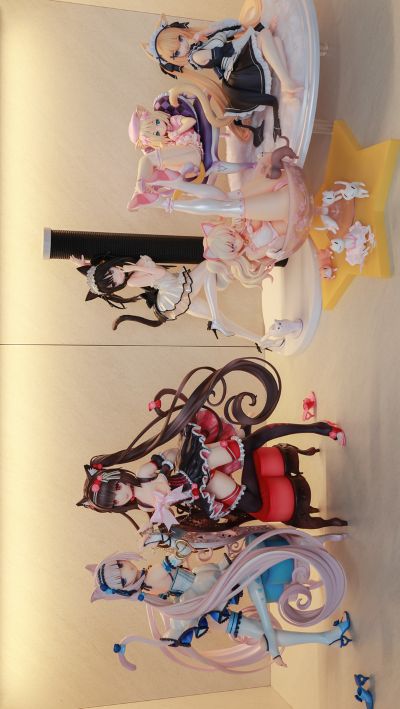 来瞅瞅猫猫
