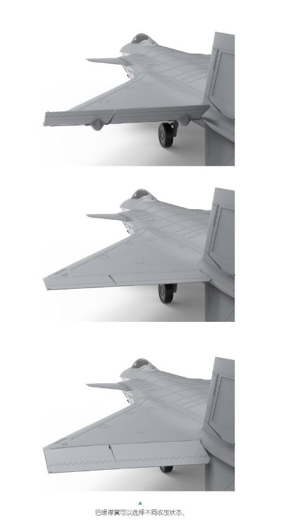 LS-002 歼-20“威龙”隐形战斗机