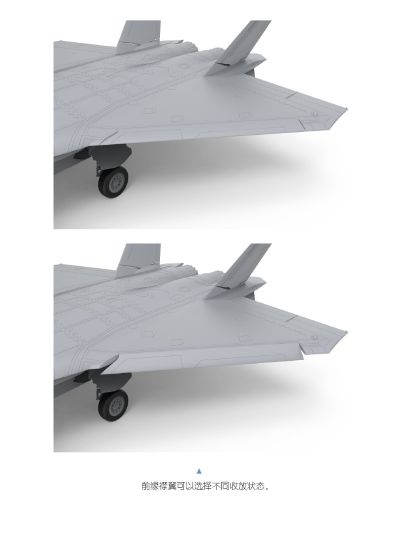 LS-002 歼-20“威龙”隐形战斗机