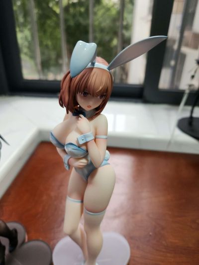 黑兔葵