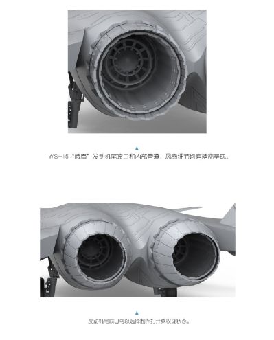 LS-002 歼-20“威龙”隐形战斗机