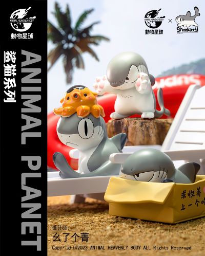 鲨猫系列