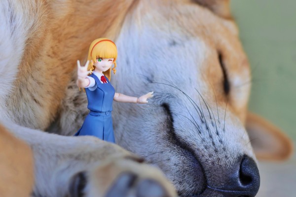 figma#555 爱与演唱会！超级明星！！ 平安名堇