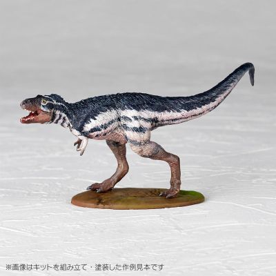 ARTPLA 研究员和霸王龙套装