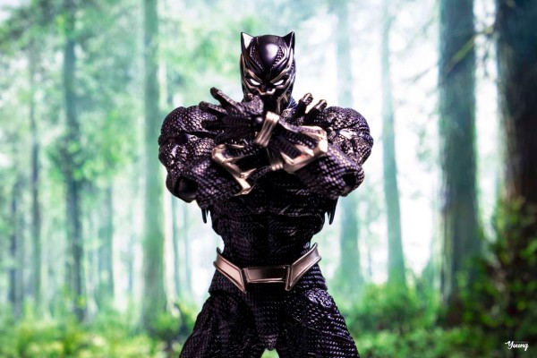 惊奇山口式 编号030 黑豹