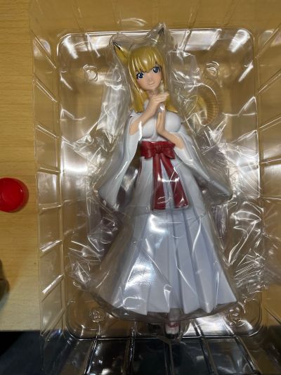 我が家のお稲荷さま。 天狐空幻